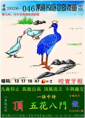 p9.jpg