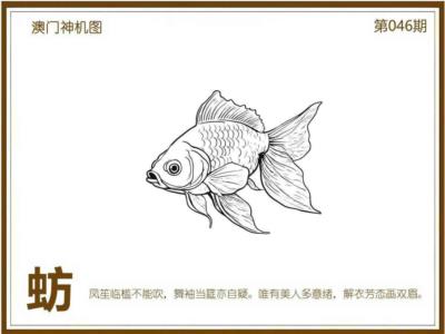 xi1.jpg