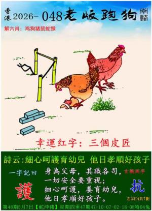 p8.jpg