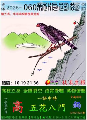 p9.jpg