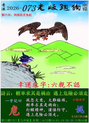 p8.jpg
